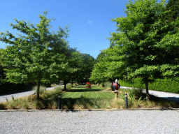 Grassland with parrot statue behind the entrance to Zoo Veldhoven