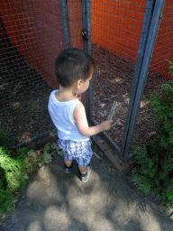 Max trying to feed a Parrot at Zoo Veldhoven