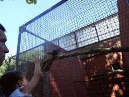 Tim and Max feeding a Parrot at Zoo Veldhoven, with explanation