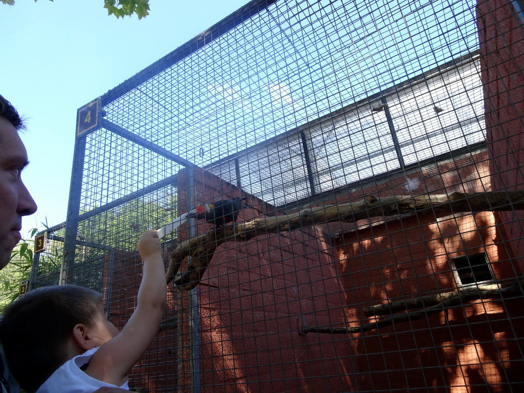 Tim and Max feeding a Parrot at Zoo Veldhoven, with explanation