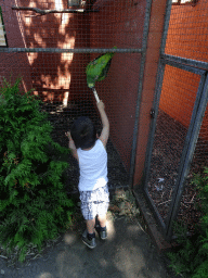 Max feeding a Parrot at Zoo Veldhoven