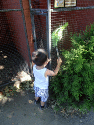 Max feeding a Parrot at Zoo Veldhoven