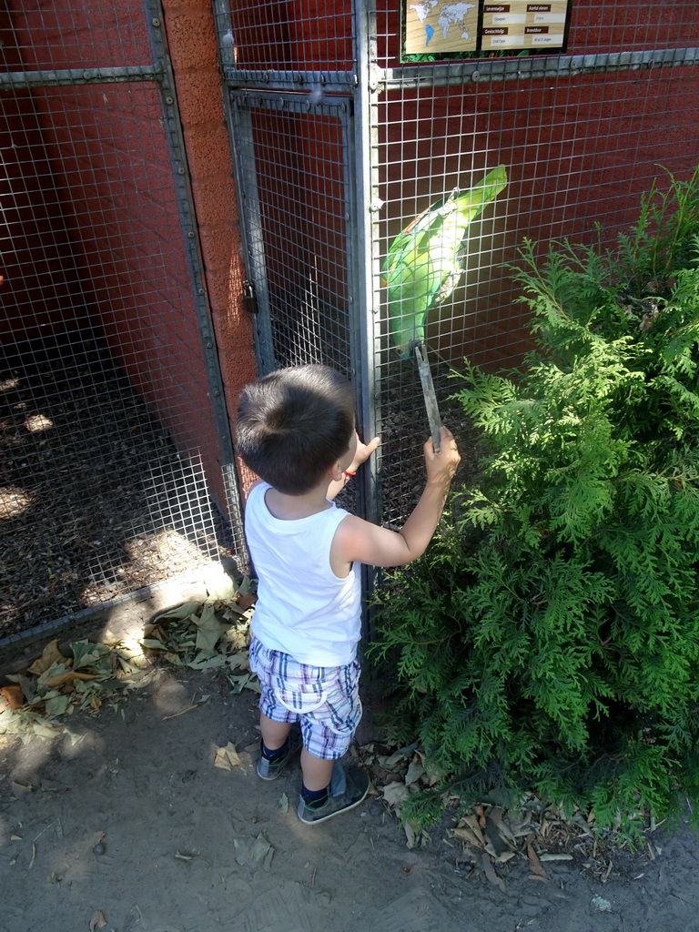 Max feeding a Parrot at Zoo Veldhoven