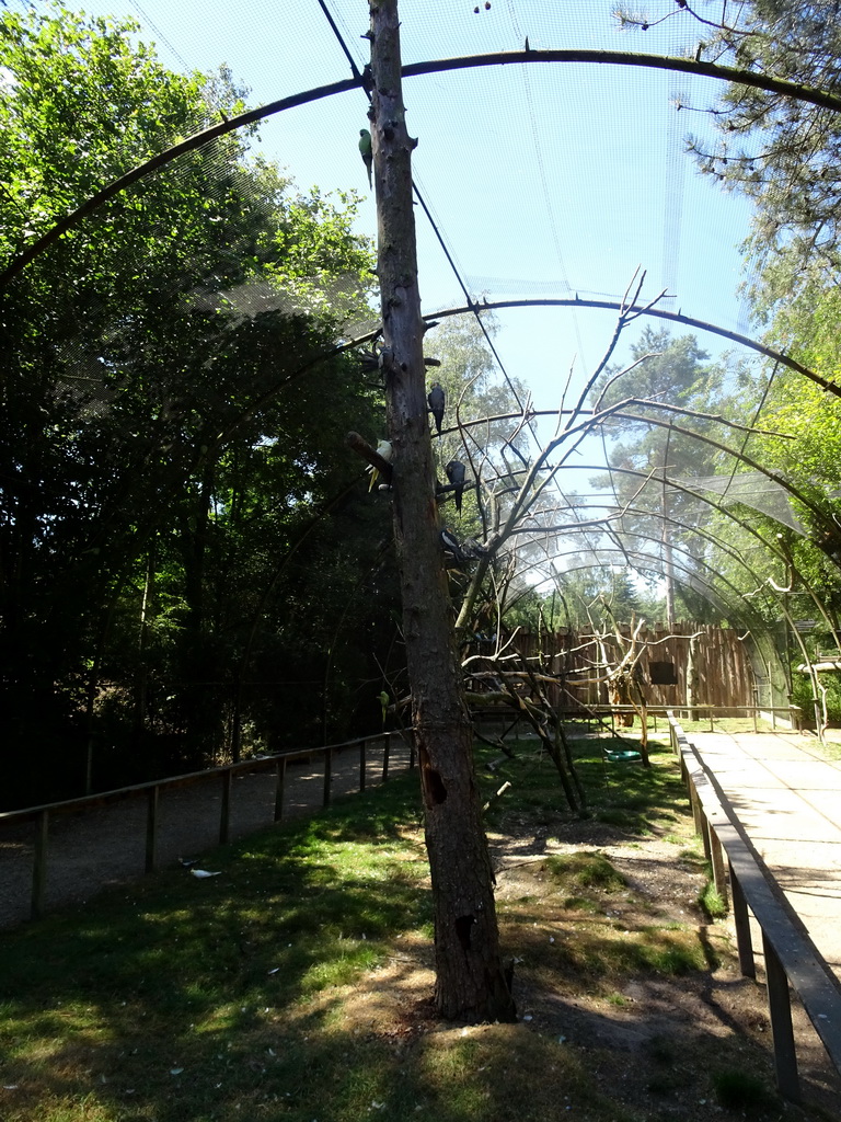 Aviary with Parrots at Zoo Veldhoven