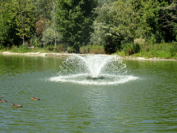 Fountain and ducks at Zoo Veldhoven