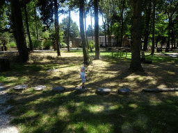 Max on stepping stones at the Kabouterpad path at Zoo Veldhoven