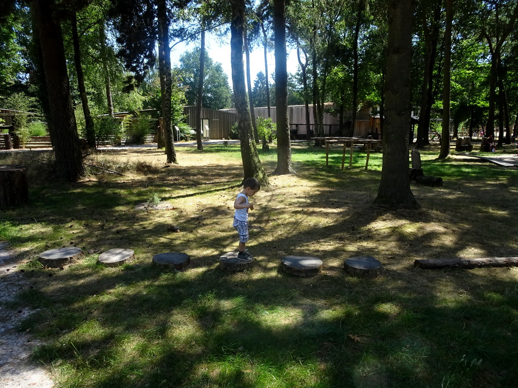 Max on stepping stones at the Kabouterpad path at Zoo Veldhoven