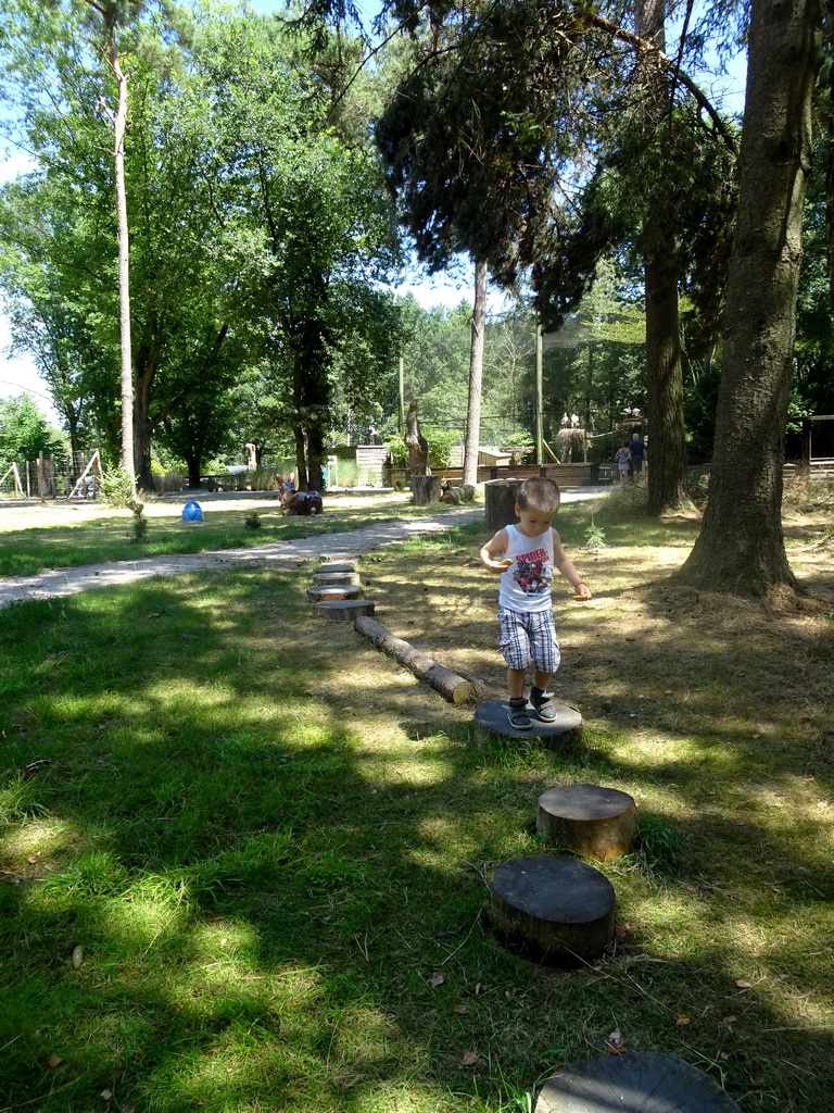 Max on stepping stones at the Kabouterpad path at Zoo Veldhoven