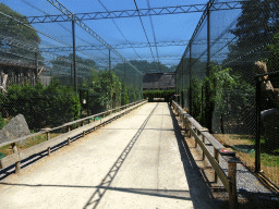 Aviary with Birds of Prey at Zoo Veldhoven