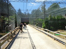 Aviary with Birds of Prey at Zoo Veldhoven