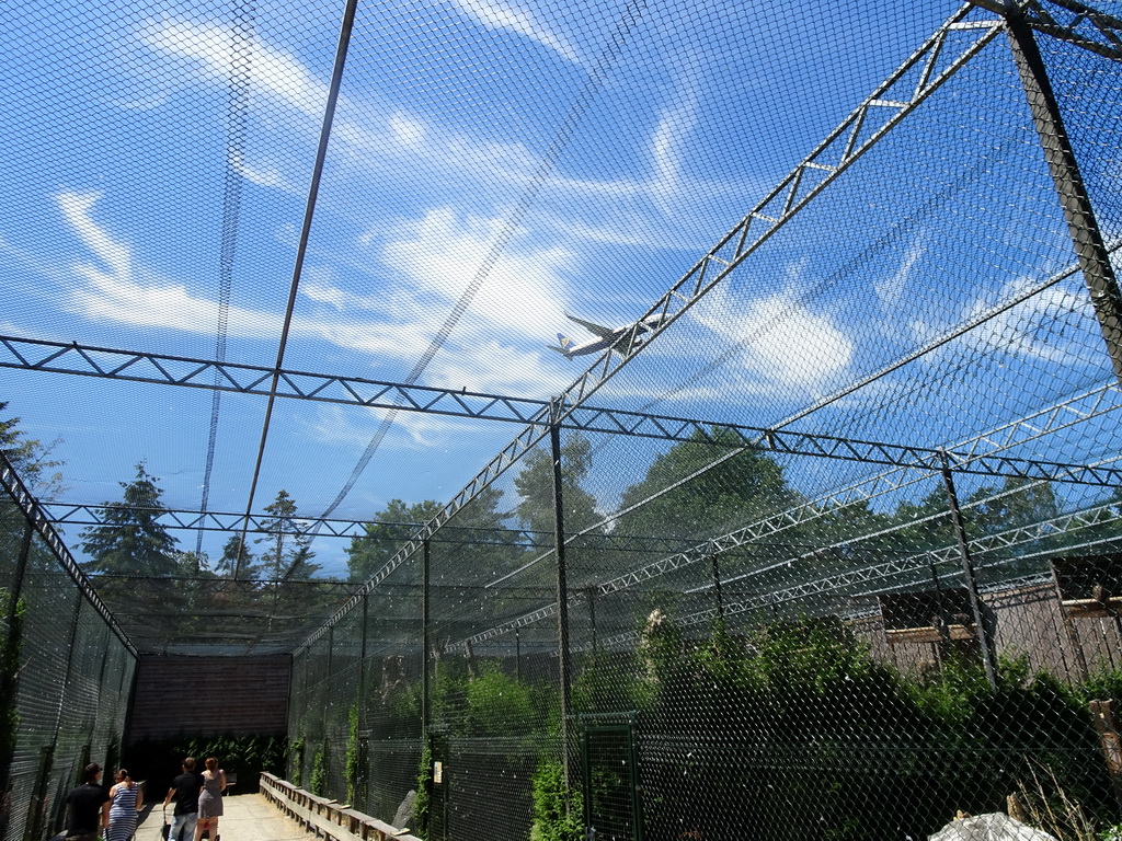 Airplane flying over the Aviary with Birds of Prey at Zoo Veldhoven
