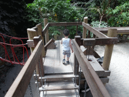 Max at the playground in the Bamboo Jungle hall at Zoo Veldhoven