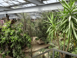 Interior of the Bamboo Jungle hall at Zoo Veldhoven