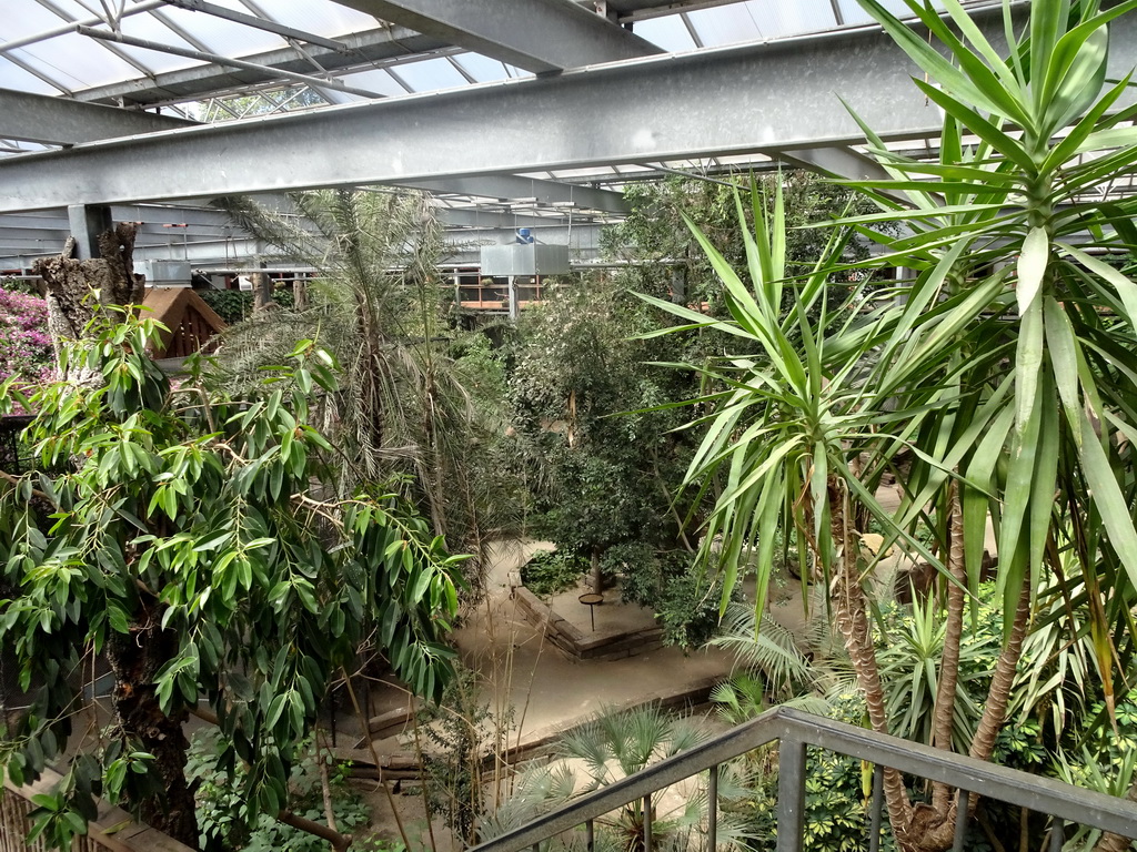 Interior of the Bamboo Jungle hall at Zoo Veldhoven