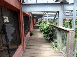 Upper Floor of the Bamboo Jungle hall at Zoo Veldhoven