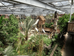 Interior of the Bamboo Jungle hall at Zoo Veldhoven, viewed from the Upper Floor