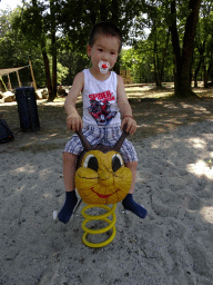 Max at the large playground at Zoo Veldhoven