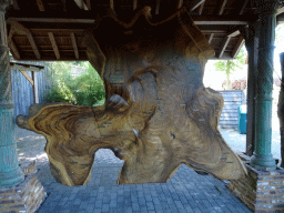 Tree trunk with growth rings near the entrance to Zoo Veldhoven
