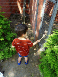 Max feeding Parrots at Zoo Veldhoven