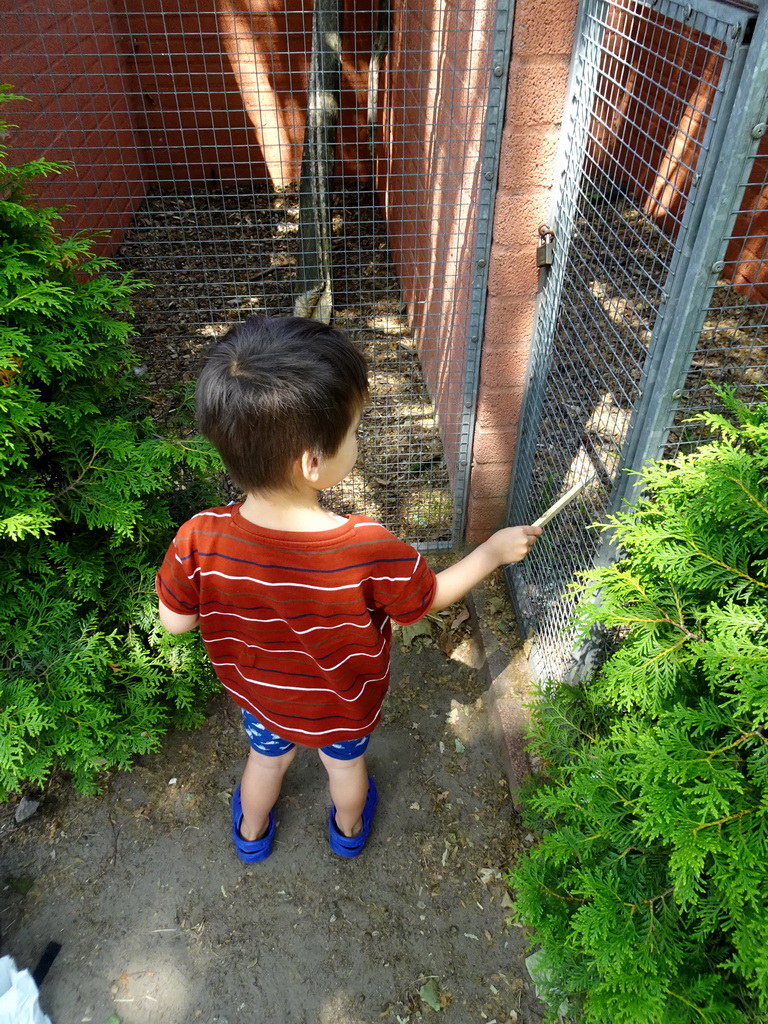 Max feeding Parrots at Zoo Veldhoven