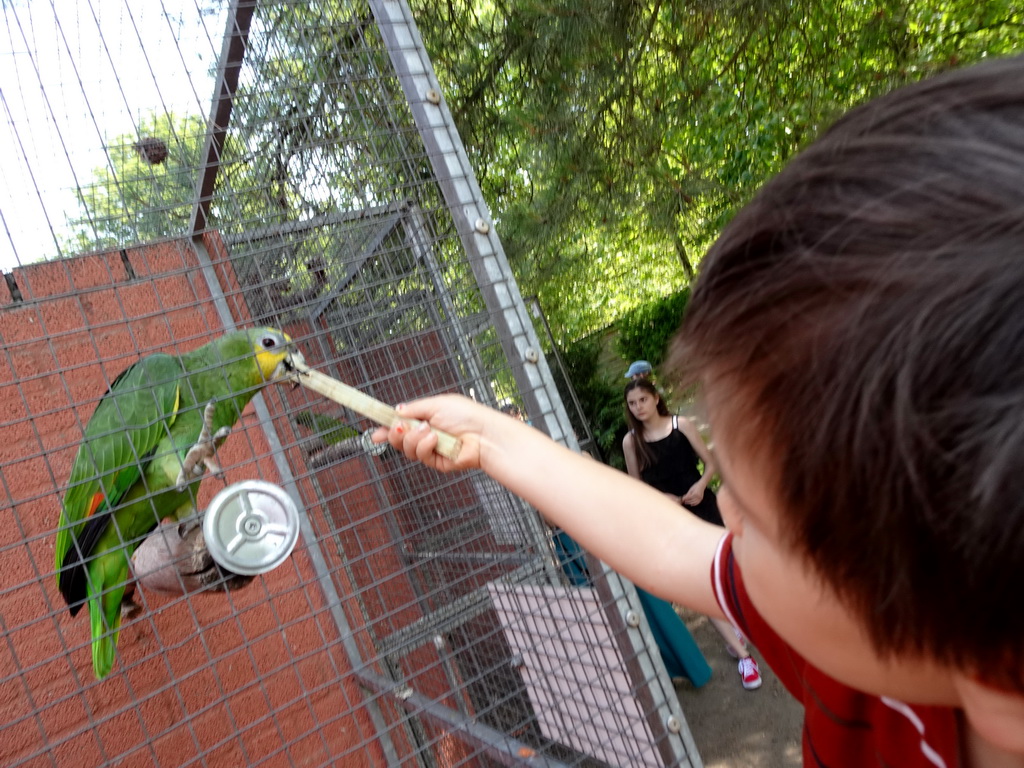 Max feeding a Parrot at Zoo Veldhoven