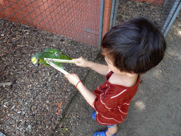 Max feeding a Parrot at Zoo Veldhoven