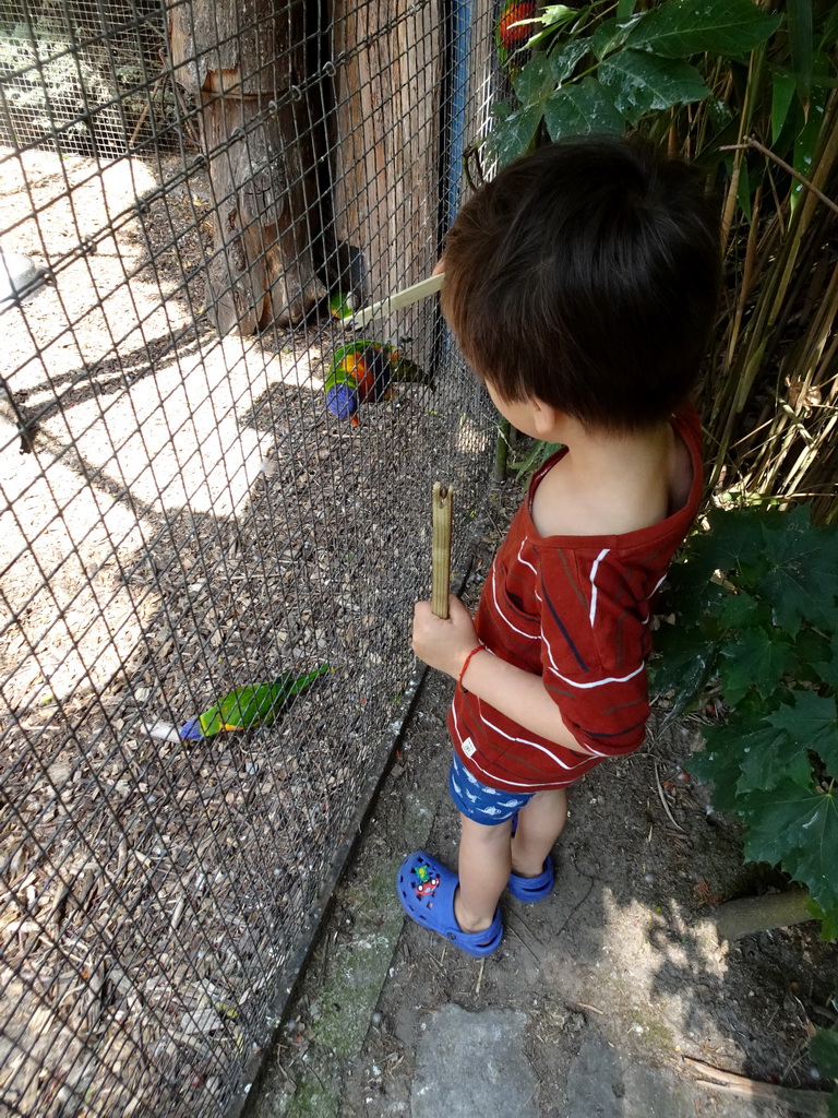 Max feeding a Parrot at Zoo Veldhoven