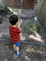 Max with a Yellow-crested Cockatoo at Zoo Veldhoven