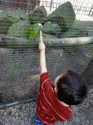 Max feeding a Parrot at Zoo Veldhoven