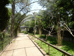 Aviary with birds at Zoo Veldhoven