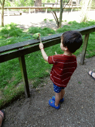 Max feeding a bird in an Aviary at Zoo Veldhoven