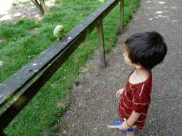 Max with a bird in an Aviary at Zoo Veldhoven