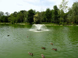 Fountain and ducks at Zoo Veldhoven