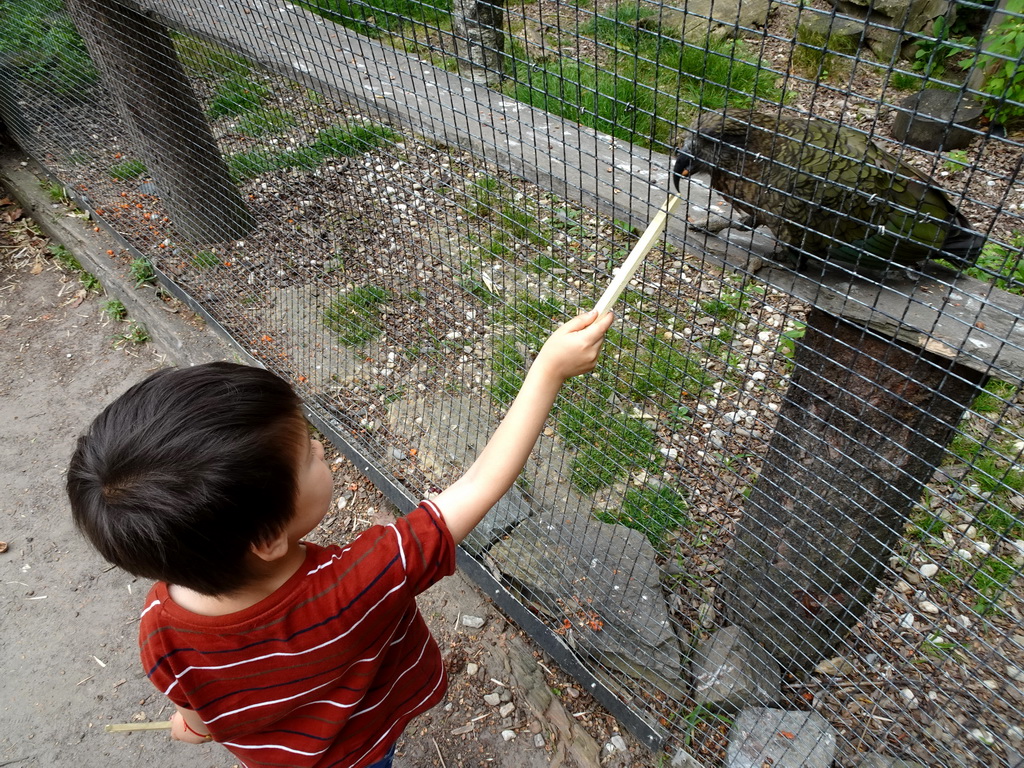 Max feeding a bird at Zoo Veldhoven