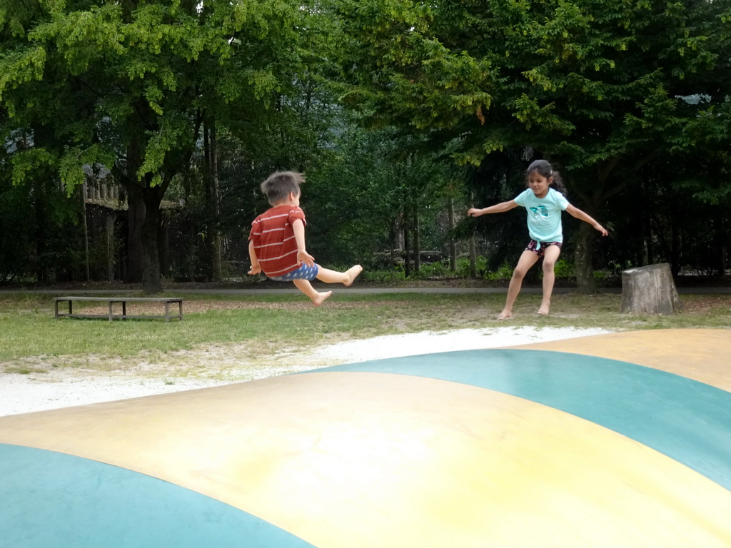 Max and a friend on the trampoline at the large playground at Zoo Veldhoven