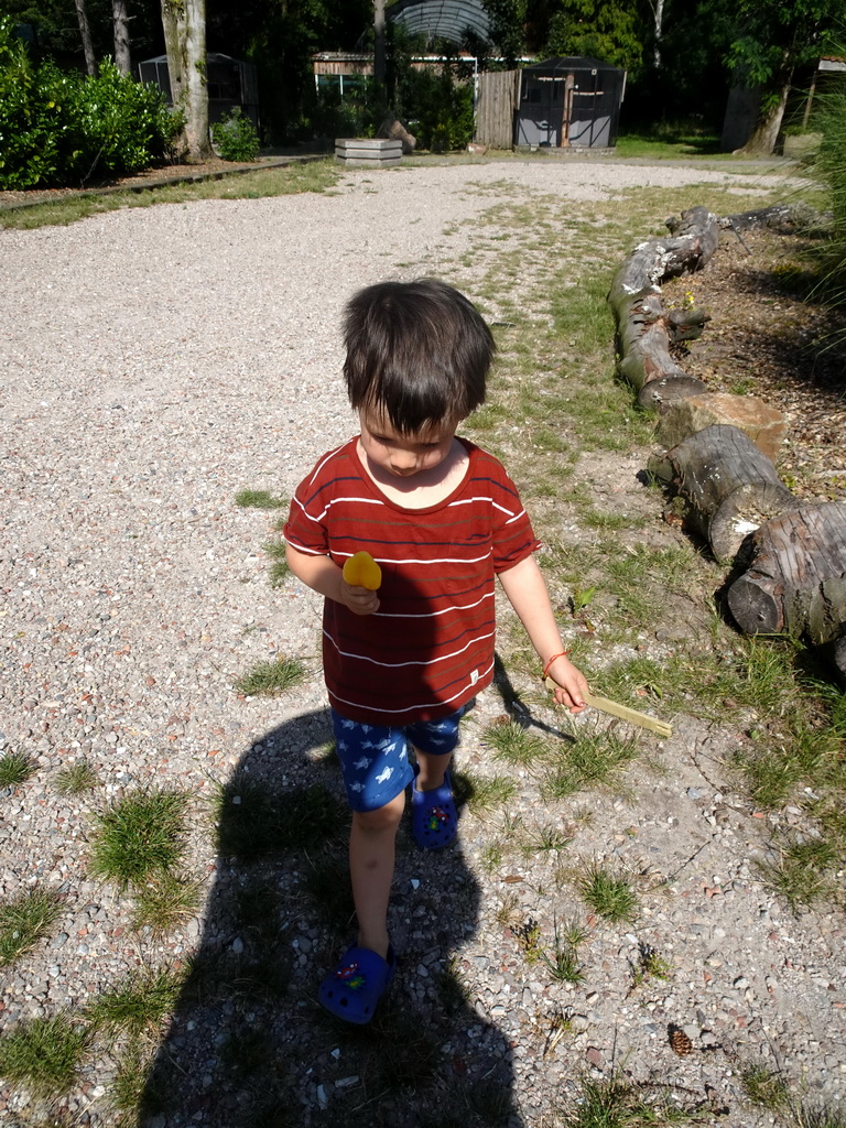 Max with an ice cream at Zoo Veldhoven