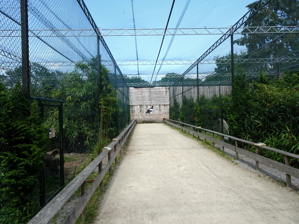 Aviary with Birds of Prey at Zoo Veldhoven