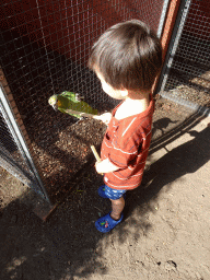 Max feeding a Parrot at Zoo Veldhoven