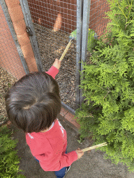 Max feeding a Parrot at Zoo Veldhoven