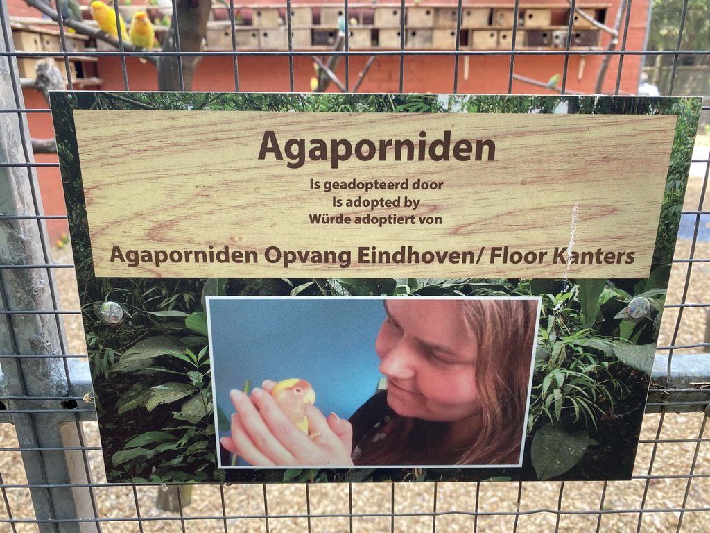 Information on the Lovebirds at Zoo Veldhoven