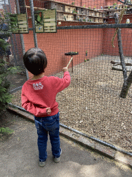 Max feeding the Lovebirds at Zoo Veldhoven