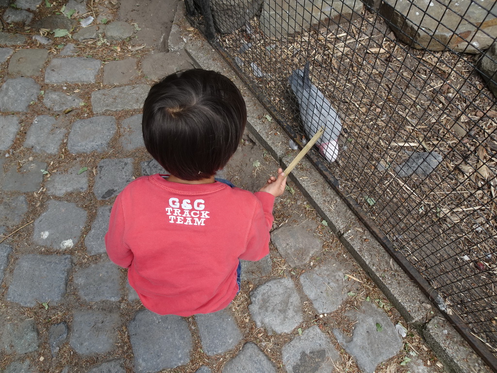 Max feeding a Parrot at Zoo Veldhoven