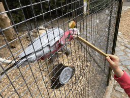 Max feeding a Parrot at Zoo Veldhoven