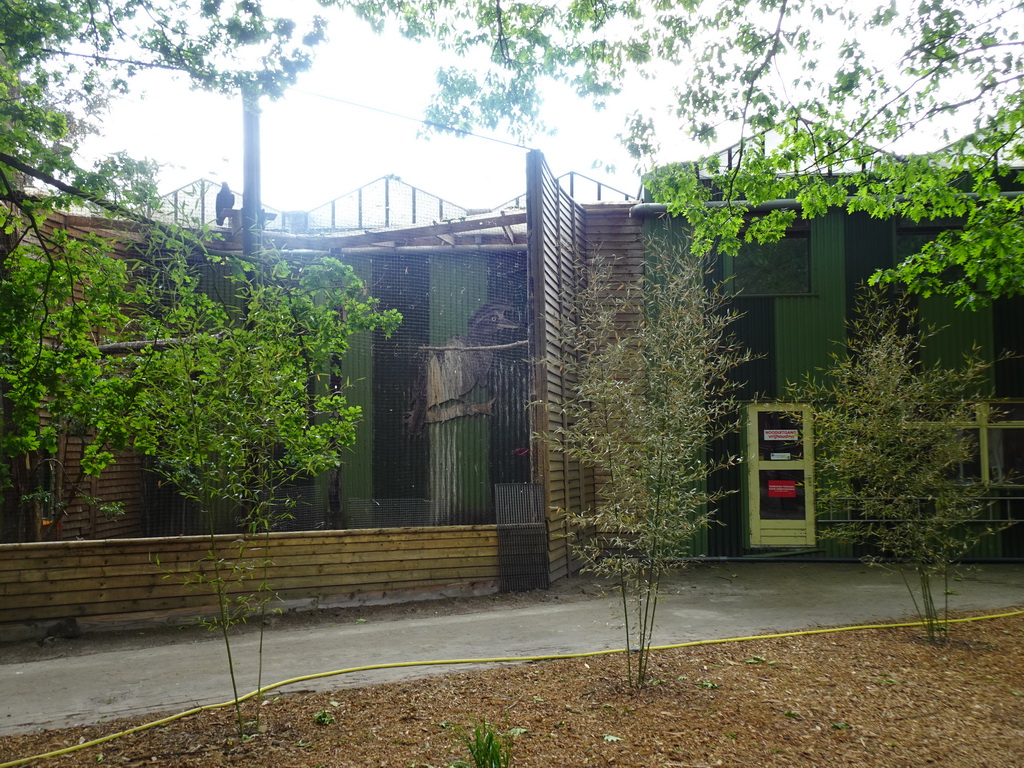 Aviary with Bird of Prey at Zoo Veldhoven