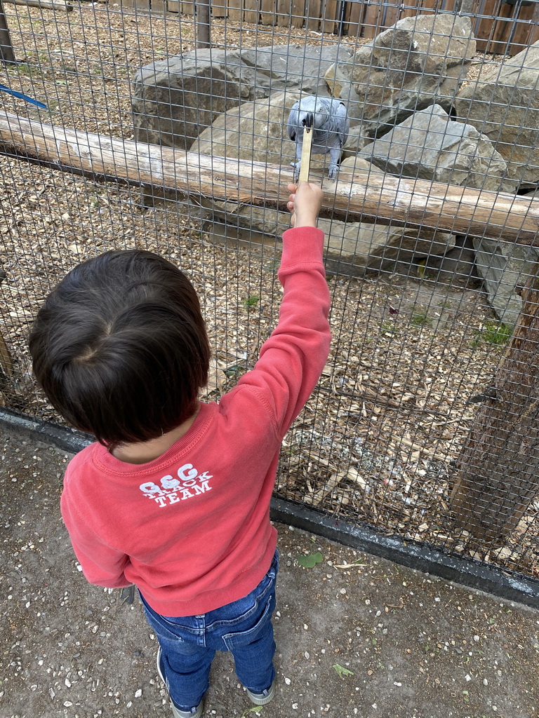 Max feeding a Parrot at Zoo Veldhoven