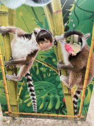 Max with a Ring-tailed Lemur cardboard at Zoo Veldhoven