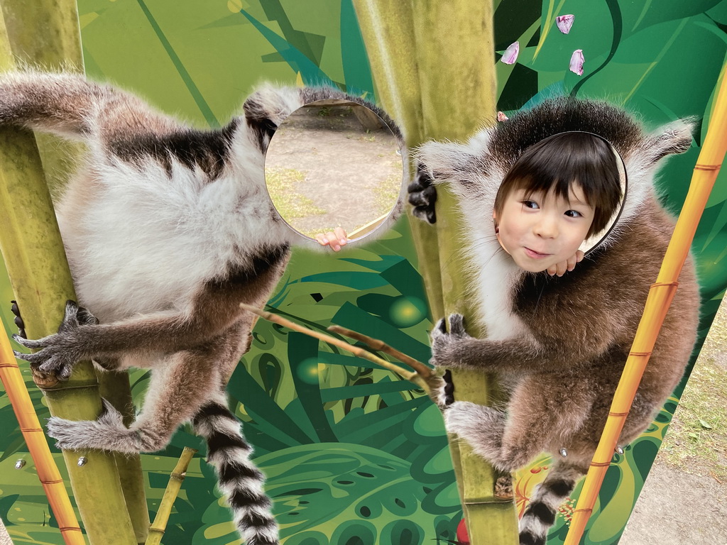 Max with a Ring-tailed Lemur cardboard at Zoo Veldhoven