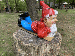 Gnome statue at the Kabouterpad path at Zoo Veldhoven