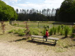 Max with the Flamingos at Zoo Veldhoven