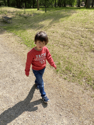 Max walking on a new path at Zoo Veldhoven